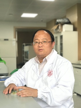 星空线上平台(集团)官方网站创新论坛第一千二百四十四讲暨120周年校庆年系列活动：碳（13C,14C）同位素标记技术在稻田土壤碳循环研究中的应用案例
