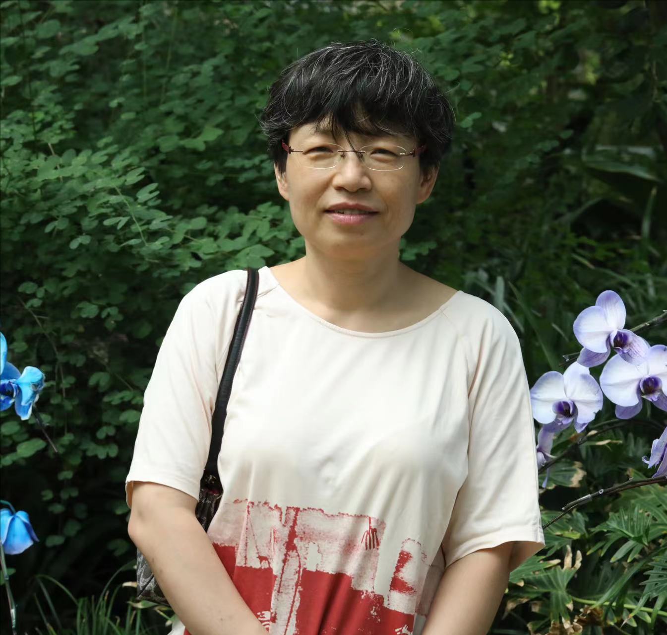  星空线上平台(集团)官方网站创新论坛第一千七百六十五讲：题目1-层状岩体岩浆房冷却过程与钒钛磁铁矿床成因 题目2-辽东中生代岩浆岩壳幔相互作用的岩浆和成矿记录