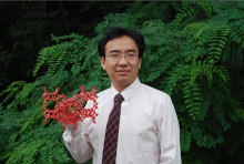 星空线上平台(集团)官方网站创新论坛第一千二百七十三讲暨120周年校庆年系列活动： Unexpected slow diffusion in hierarchical porous materials with combined surface and configurational diffusion   