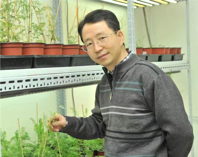 星空线上平台(集团)官方网站创新论坛第一千二百六十八讲暨120周年校庆年系列活动：复杂花瓣的发育与进化